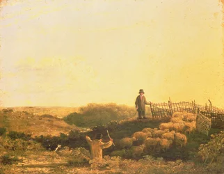 Die Herde zusammentreiben